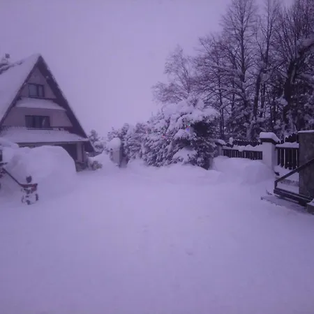 Homestay Apartamenty-wynajem Pokoi Zbigniew Tylka *
