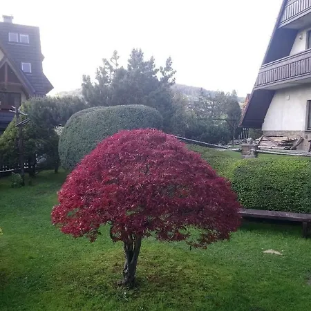 Apartamenty-wynajem Pokoi Zbigniew Tylka 民宿 考斯赛力克