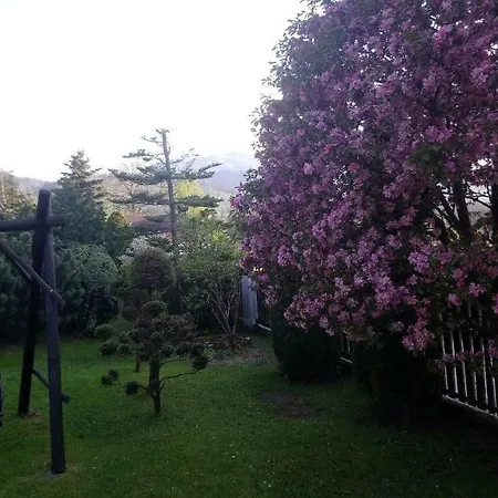 Apartamenty-wynajem Pokoi Zbigniew Tylka 民宿